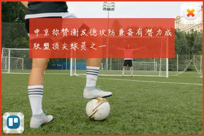 申京称赞谢泼德攻防兼备有潜力成联盟顶尖球员之一
