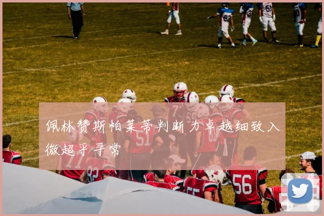 佩林赞斯帕莱蒂判断力卓越细致入微超乎寻常