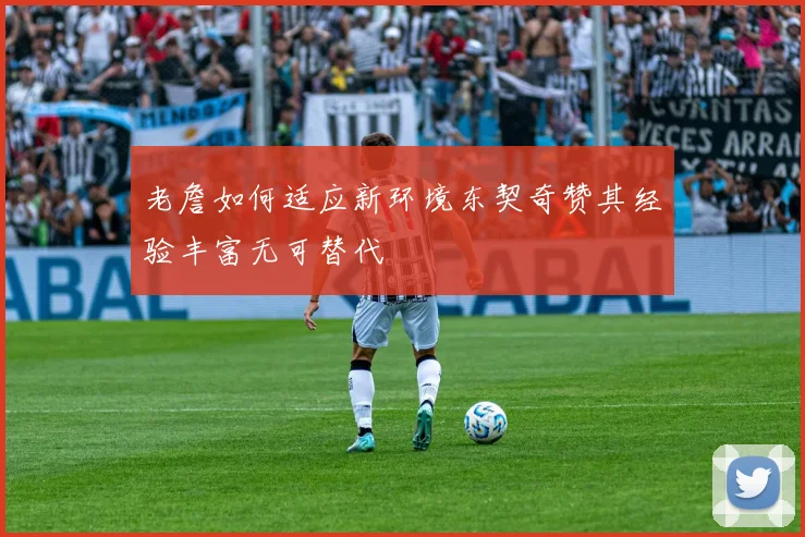 老詹如何适应新环境东契奇赞其经验丰富无可替代